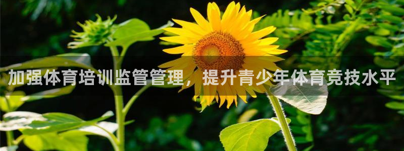 欧陆娱乐不让提现怎么办：加强体育培训监管管理，提升青