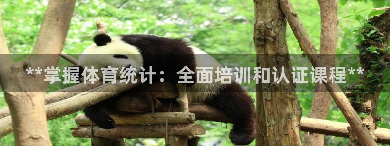 欧陆娱乐怎么样：**掌握体育统计：全面培训和认证课程