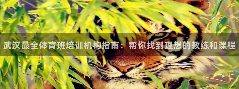 欧陆娱乐客服电话人工服务号码：武汉最全体育班培训机构