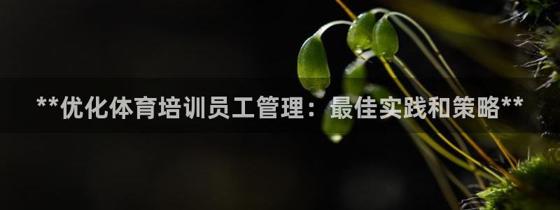 欧陆娱乐登录注册平台有哪些：**优化体育培训员工管理