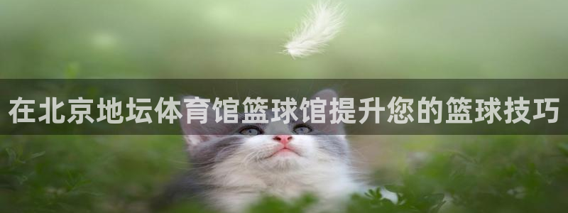 欧陆娱乐登录官网入口：在北京地坛体育馆篮球馆提升您的