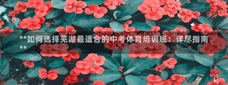 欧陆娱乐平台登陆地址是什么样的：**如何选择芜湖最适
