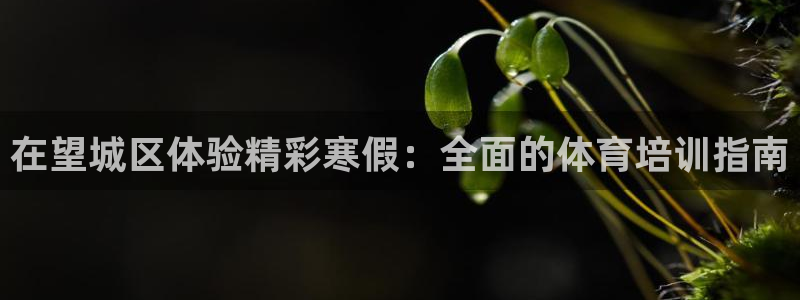 欧陆娱乐官网下载安装最新版：在望城区体验精彩寒假：全