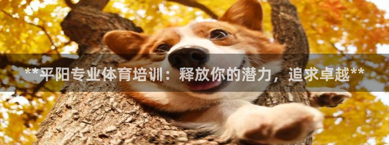 欧陆娱乐注册链接怎么弄出来：**平阳专业体育培训：释