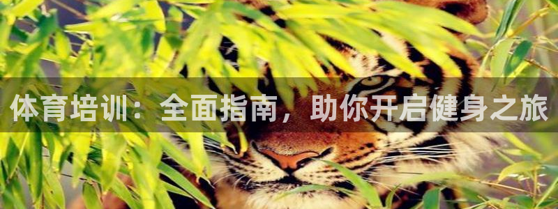 欧陆娱乐官网网址