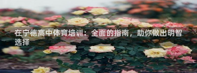 欧陆娱乐注册代理多少钱啊：在宁德高中体育培训：全面的