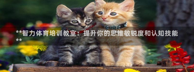 欧陆娱乐平台咋样啊赚钱：**智力体育培训教室：提升你