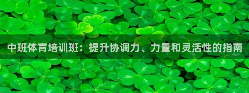 欧陆娱乐登录平台下载：中班体育培训班：提升协调力、力