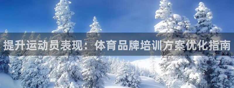欧陆娱乐登录测速怎么关闭：提升运动员表现：体育品牌培