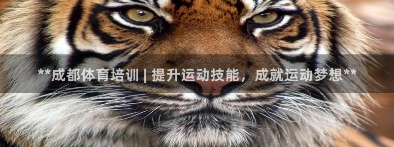 欧陆娱乐打什么方案：**成都体育培训 | 提升运动技