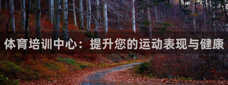欧陆娱乐客服服务怎么样：体育培训中心：提升您的运动表