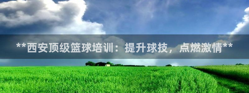 欧陆娱乐招商主管：**西安顶级篮球培训：提升球技，点