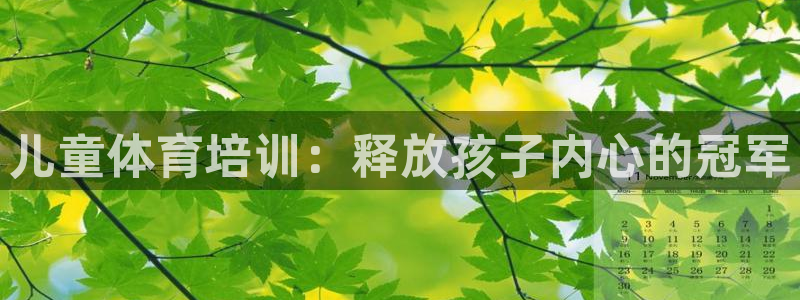欧陆娱乐共创美好时刻：儿童体育培训：释放孩子内心的冠
