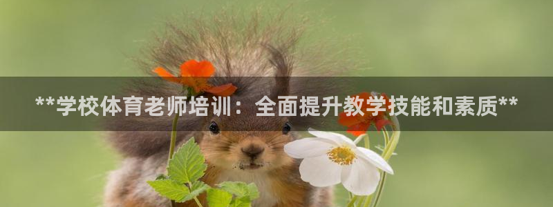 欧陆娱乐代理多少个点位啊