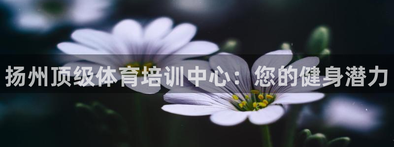 欧陆娱乐官方网站首页：扬州顶级体育培训中心：您的健身