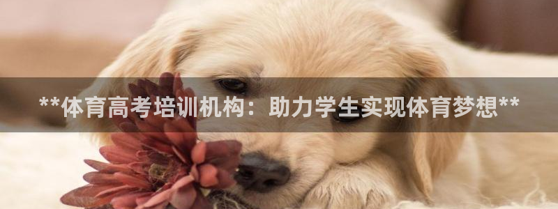 欧陆娱乐登陆官网下载：**体育高考培训机构：助力学生