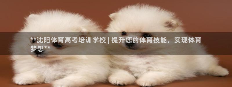 欧陆官网下载：**沈阳体育高考培训学校 | 提升您的