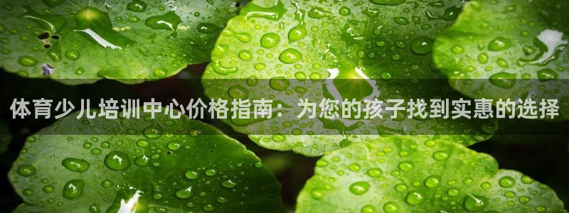 欧陆娱乐共创美好：体育少儿培训中心价格指南：为您的孩