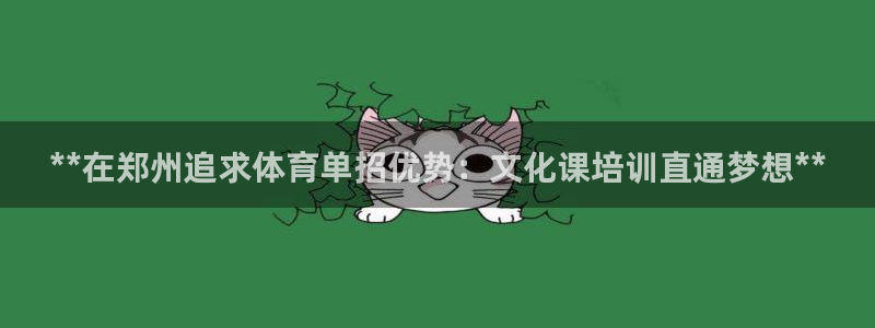欧陆娱乐公司产品介绍怎么写：**在郑州追求体育单招优