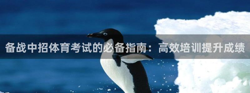欧陆娱乐合法吗?：备战中招体育考试的必备指南：高效培