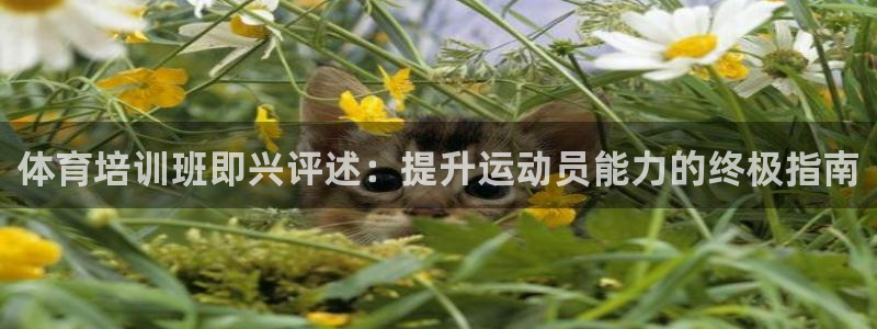 欧陆娱乐官网入口网址：体育培训班即兴评述：提升运动员