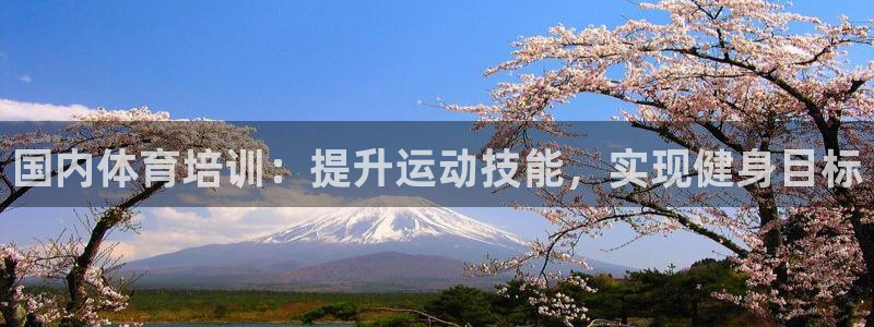 欧陆娱乐登陆平台下载：国内体育培训：提升运动技能，实
