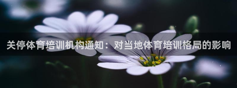 欧陆娱乐提现两百万：关停体育培训机构通知：对当地体育