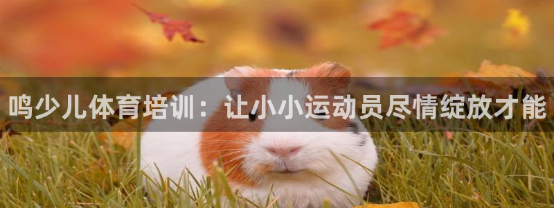 欧陆娱乐平台登录不上怎么办：鸣少儿体育培训：让小小运