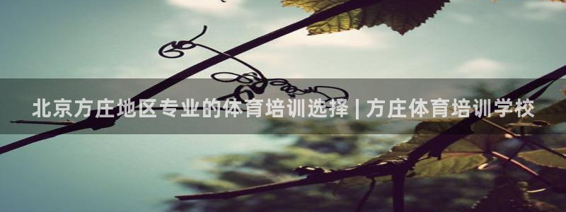 欧陆娱乐是那个旗下的品牌：北京方庄地区专业的体育培训