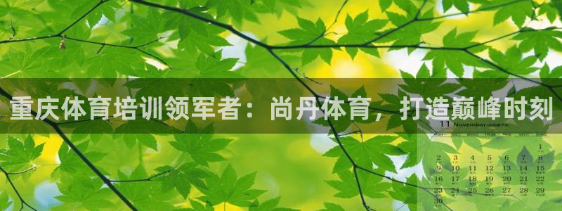 欧陆娱乐有限公司招聘：重庆体育培训领军者：尚丹体育，
