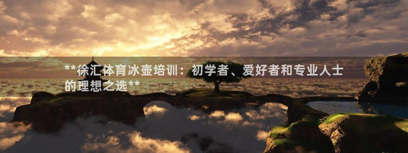 欧陆娱乐不让提现：**徐汇体育冰壶培训：初学者、爱好