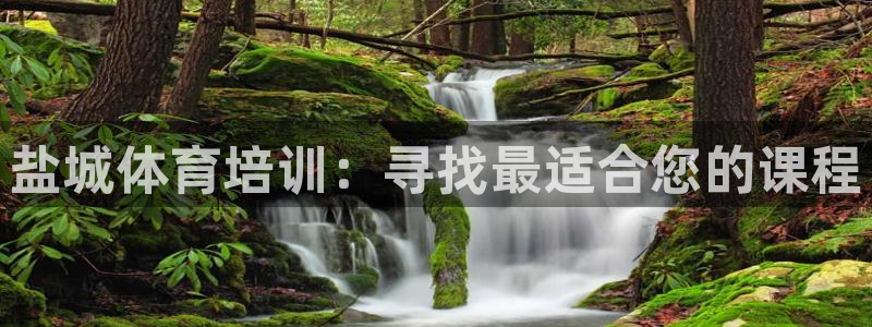 欧陆娱乐计划预测软件下载：盐城体育培训：寻找最适合您