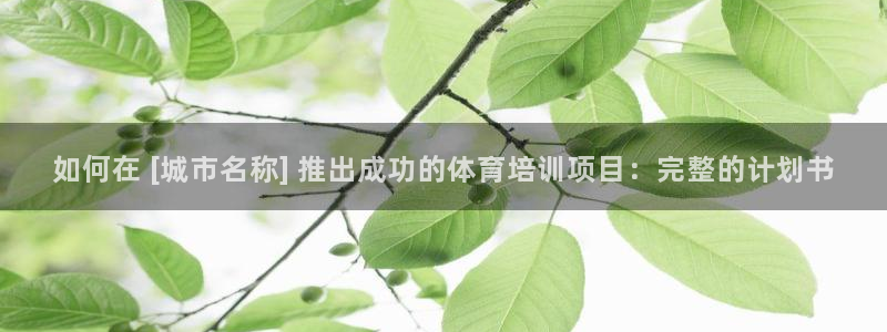 欧陆娱乐登陆平台官网：如何在 [城市名称] 推出成功