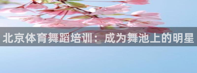 欧陆娱乐挂机怎么玩：北京体育舞蹈培训：成为舞池上的明