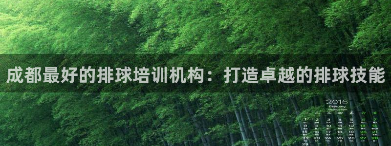 欧陆娱乐安全吗：成都最好的排球培训机构：打造卓越的排