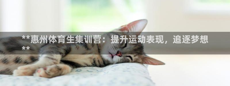 欧陆娱乐官网注册中心：**惠州体育生集训营：提升运动