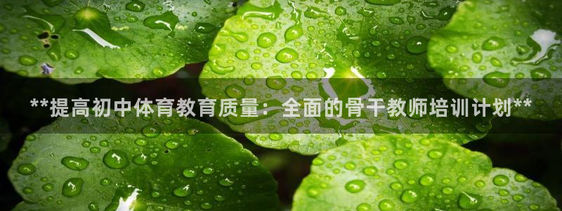 欧陆娱乐百科官网：**提高初中体育教育质量：全面的骨