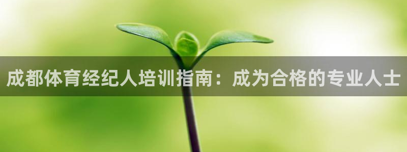 欧陆娱乐是资金盘吗：成都体育经纪人培训指南：成为合格