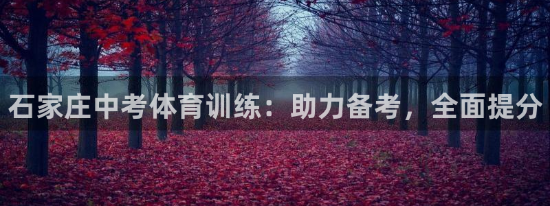 欧陆娱乐测试网站：石家庄中考体育训练：助力备考，全面