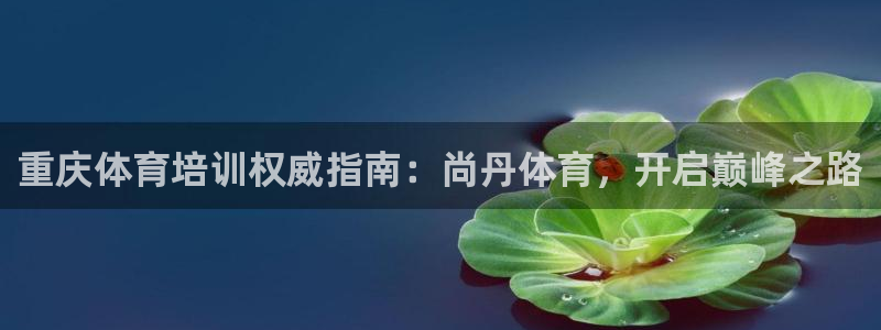 欧陆娱乐是那个旗下的品牌公司：重庆体育培训权威指南：