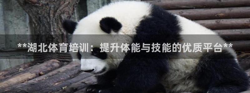 欧陆娱乐能赚钱吗知乎：**湖北体育培训：提升体能与技