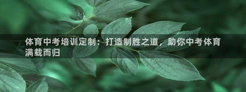 欧陆娱乐脚本下载：体育中考培训定制：打造制胜之道，助