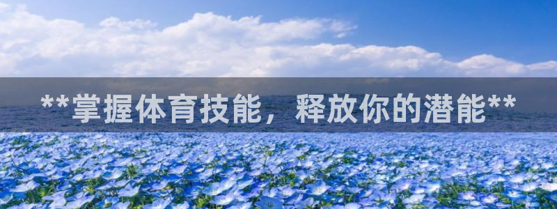 欧陆娱乐游戏：**掌握体育技能，释放你的潜能**