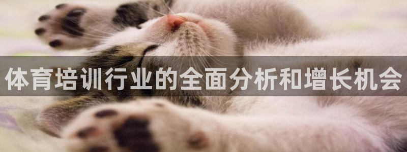 欧陆娱乐怎么注册账号啊：体育培训行业的全面分析和增长