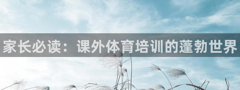 欧陆娱乐平台咋样啊赚钱：家长必读：课外体育培训的蓬勃