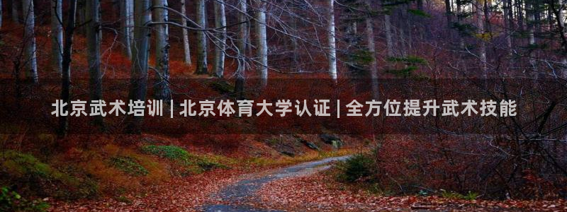 欧陆娱乐稳中：北京武术培训 | 北京体育大学认证 |