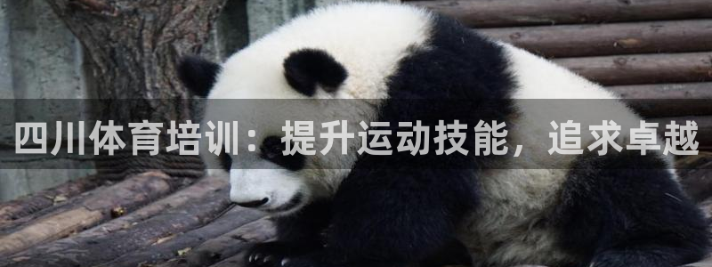 欧陆娱乐能不能玩手游：四川体育培训：提升运动技能，追
