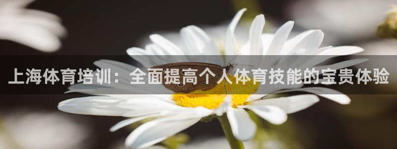 欧陆娱乐平台登录不上去：上海体育培训：全面提高个人体