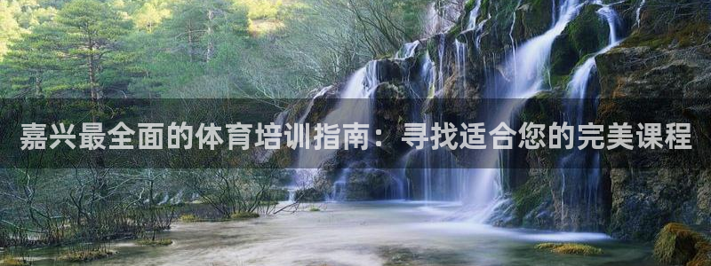 欧陆娱乐的故事：嘉兴最全面的体育培训指南：寻找适合您