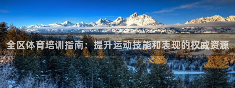 欧陆娱乐代理 贴吧官网：全区体育培训指南：提升运动技